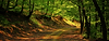 Banner Video Roadfans.png