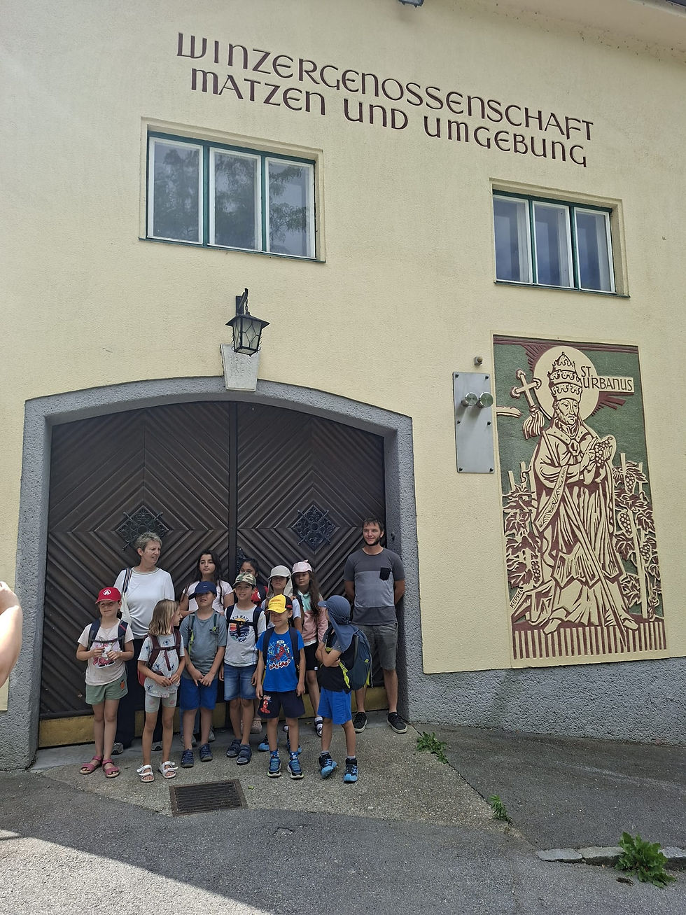 Historischer Spaziergang in die Winzergenossenschaft