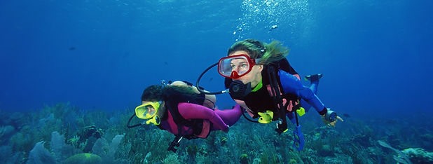 Snorkelling in the Caribbean