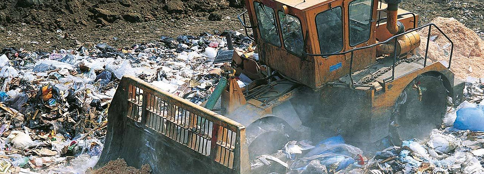 Residential dumpster rental placed in a driveway for a home cleanout