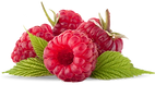 Raspberries