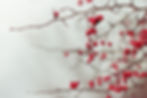 Branches