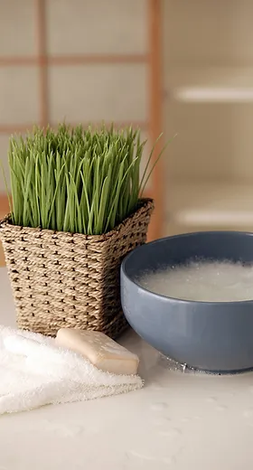 Massage miracle mile Clearance