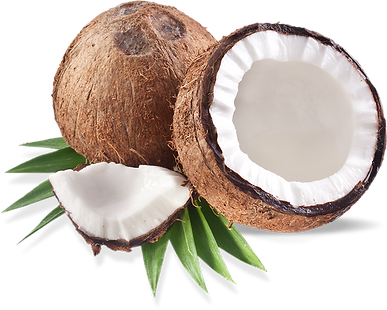 Coconut