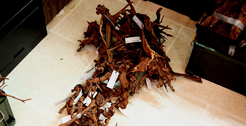 レイアウト素材が入荷しました。