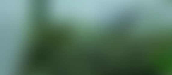 お知らせ＆生体が入荷しました。