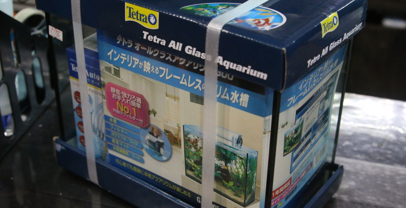 小さな水草レイアウト水槽のご紹介