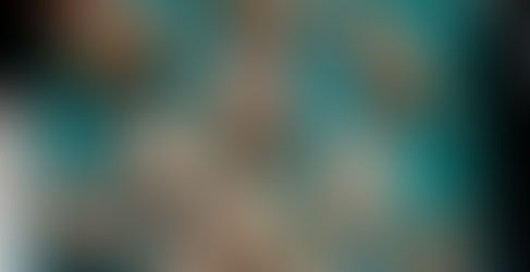 良質な素材が入荷しました。