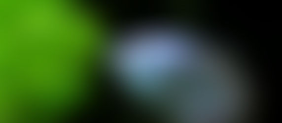 今週の🉐🉐はこれ