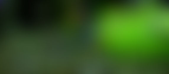 今週の🉐🉐はこれ