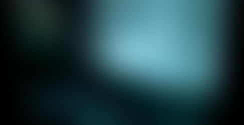 魅惑のカメ水槽制作