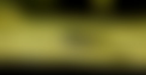 今週の🉐🉐はこれ。