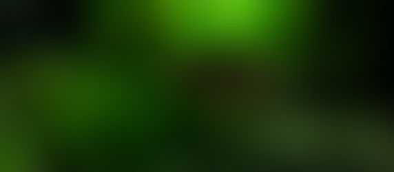 生体＆水草、海水生体が入荷しました。