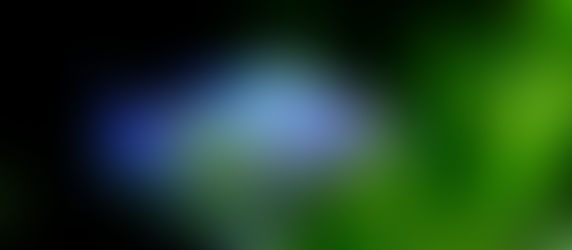 今週の🉐🉐はこれ。