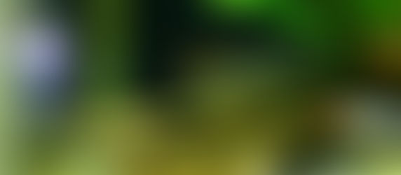 今週の🉐🉐は変則