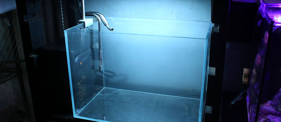 ３６ｃｍ水槽のレイアウト