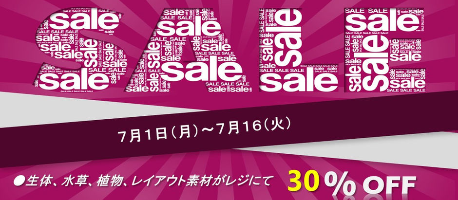 夏の大感謝祭を開催いたします。