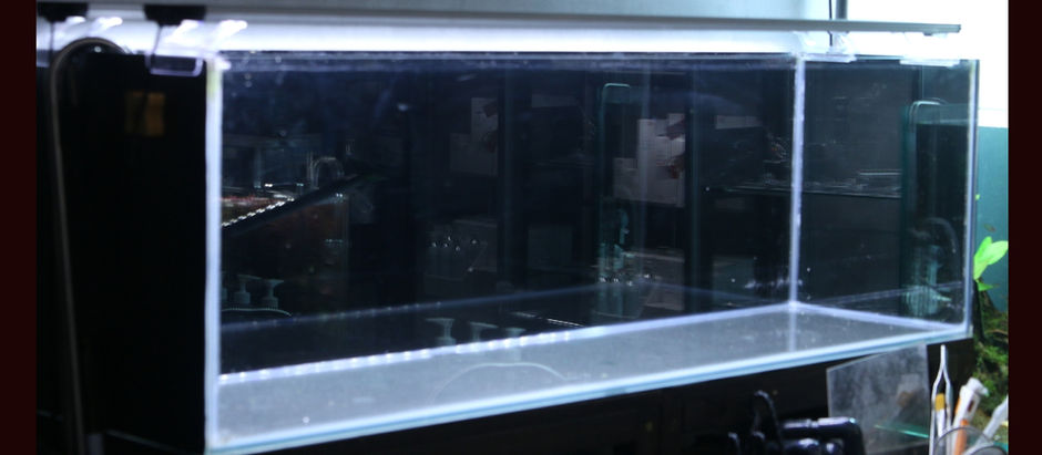 120㎝スリム水槽レイアウト制作