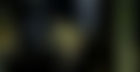 今週の🉐🉐はこれ