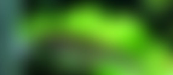 今週の🉐🉐はこれ