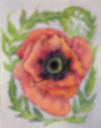 Poppy 15in x 12in watercolour on paper 2019 (1)
