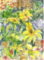 Southampton Flowers 14 x 10 in. watercolour & pigma pen on paper 2000