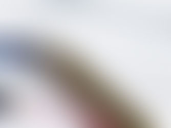 A close up of a pen on form