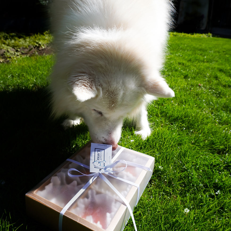 Thumbnail: Paw's Appetite Signature Pet Jelly Dog Treats