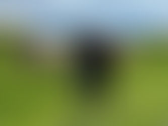 Power and pedigree at Sherraine Holsteins