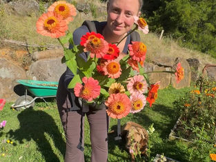 From lawn to living larder