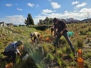 Carters Creek group marks three years of community action