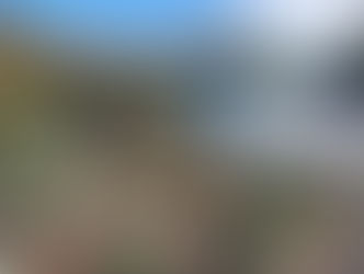 Ashburton Forks Catchment Group: A Year On