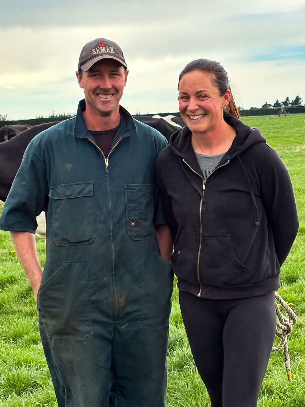 The couple’s passion for showing continues at the Christchurch A&P Show, where their Holsteins have won Supreme Champion six times in the last nine years. Photo Claire Inkson