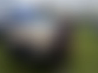 The Changing Face of Ute Buyers