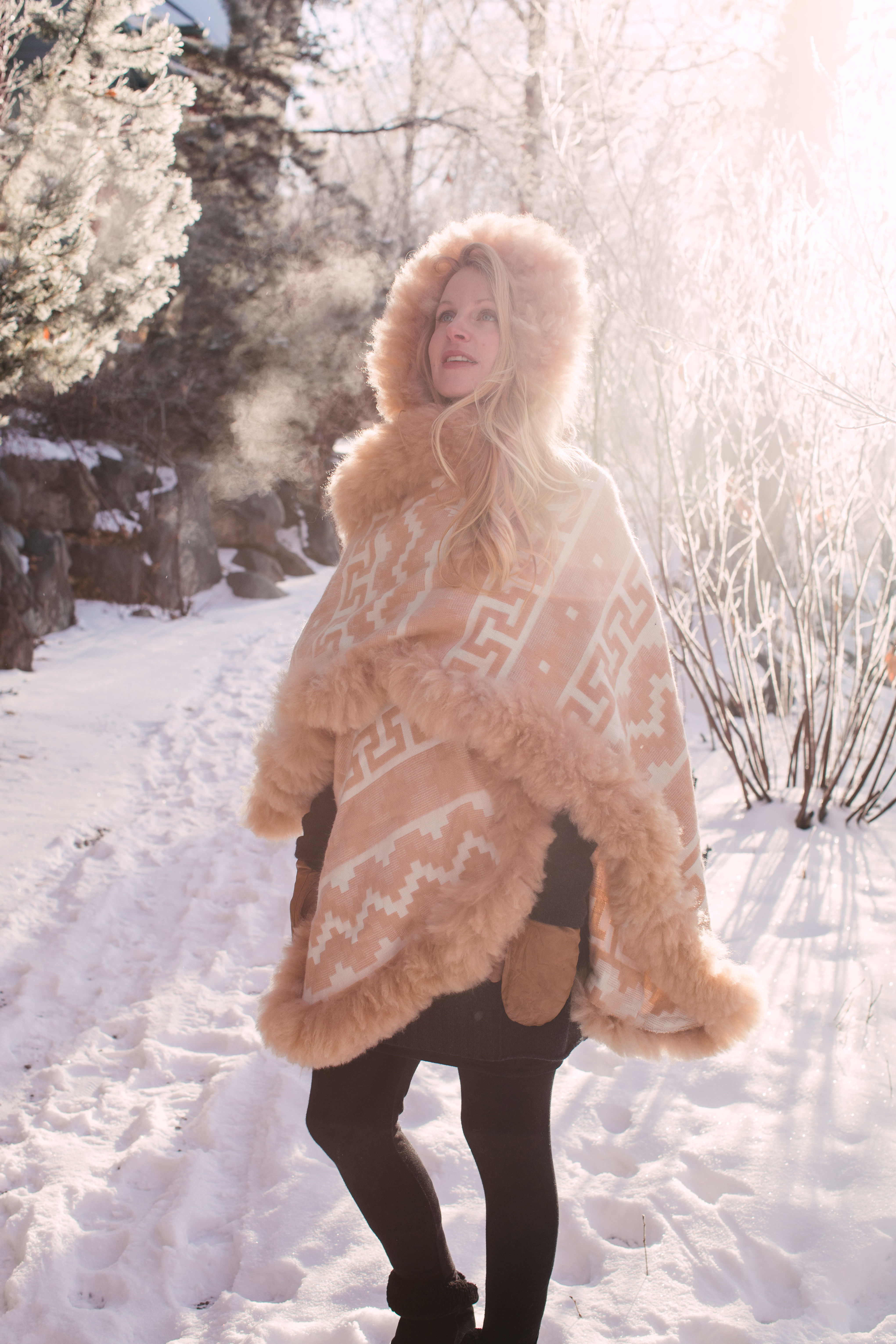 Alchemist Heritage Cape