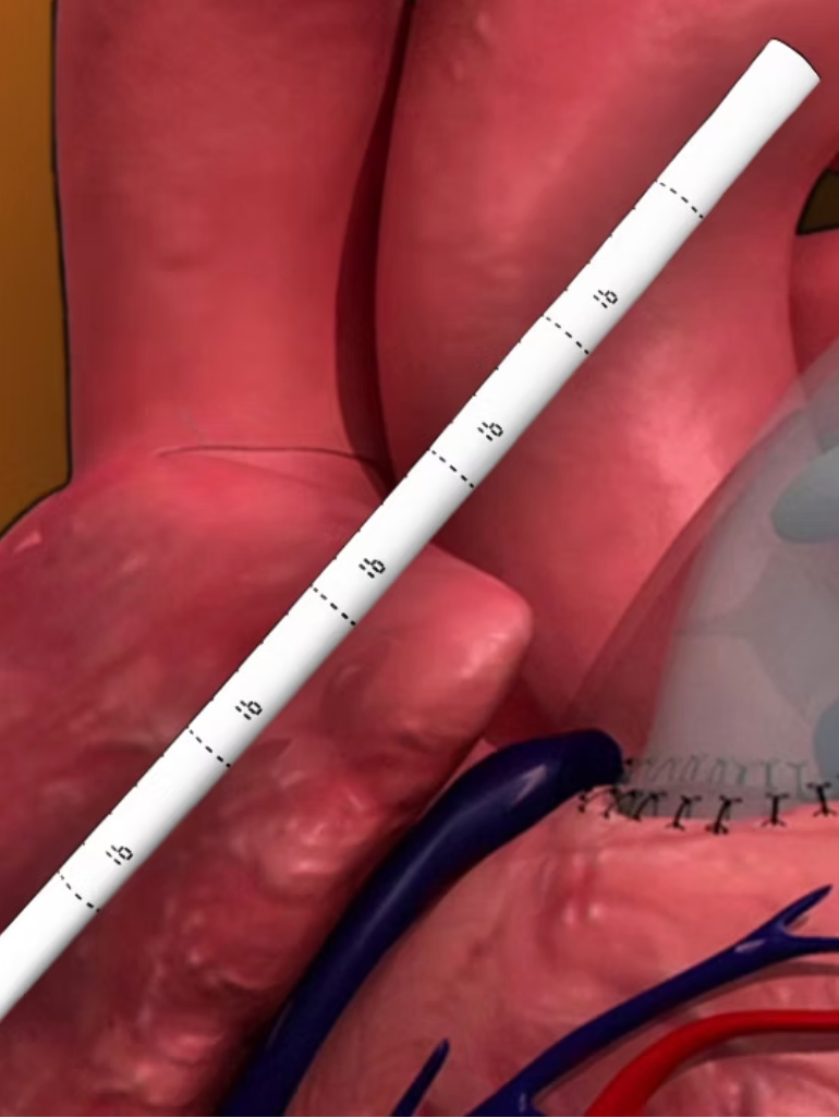 Ekran Resmi 2025-10-06 10.47.22.png