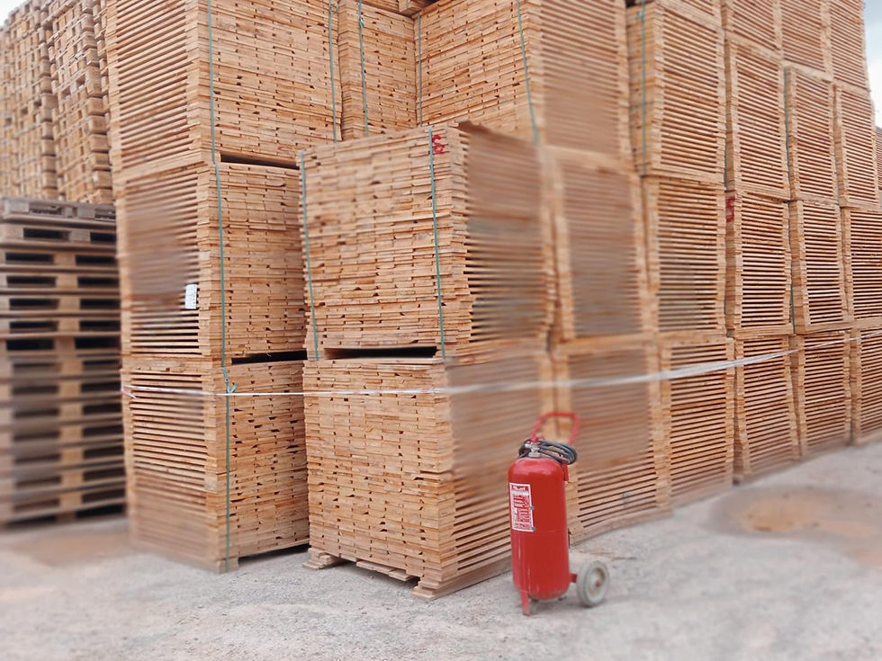 WhatsApp Image 2025-04-29 at 12.59.38 (2).jpeg