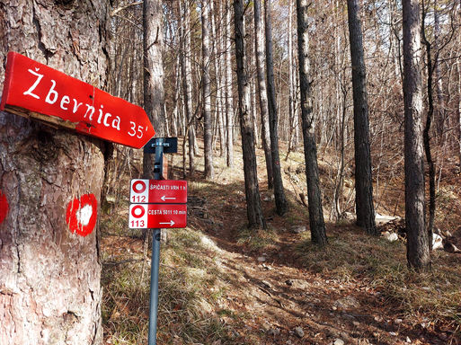 Zbevnica Zbevnica putokaz mountain cicarija hike