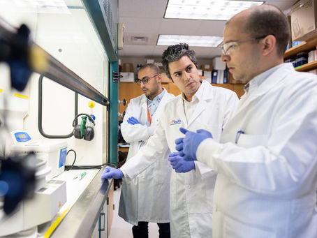 Team of researchers in laboratory
