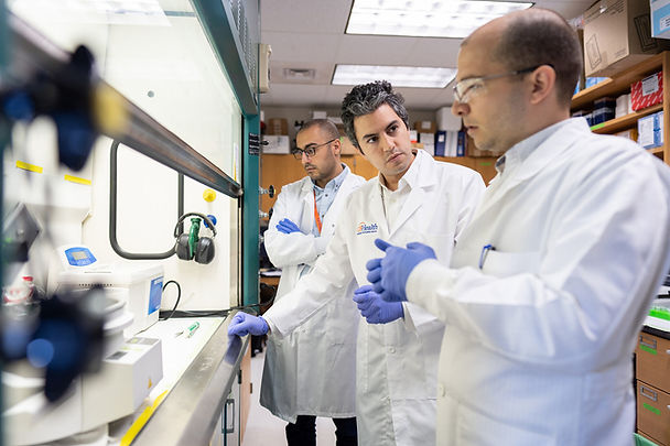 Researchers in a lab