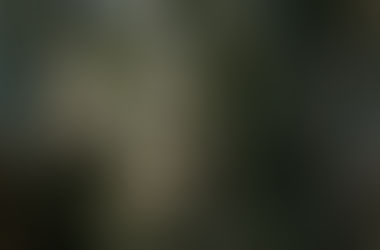 what makes a Canberra breakfast feel memorable, not the idea of it being the best breakfast in Canberra