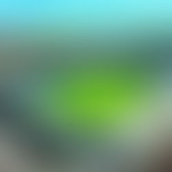 Two Trial With Gillingham FC