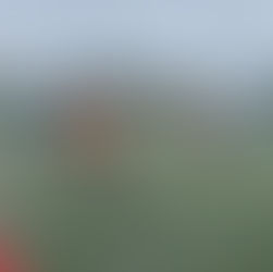 FSA PRO Leicester Leave It Late To Rescue A Point