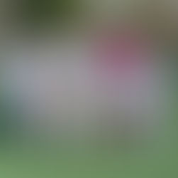 Hughes Wins It Late For FSA PRO London