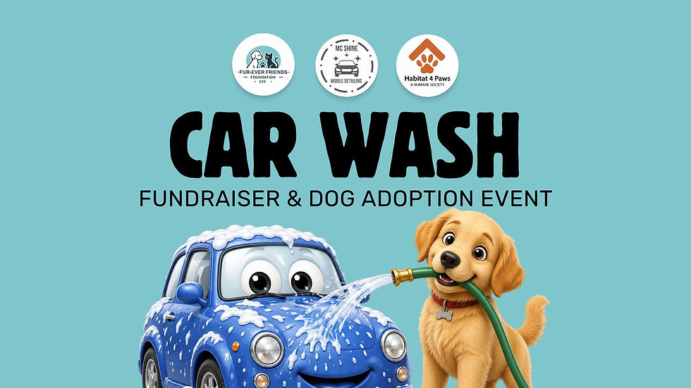 Car Wash Fundraiser and Dog Adoption Event!
