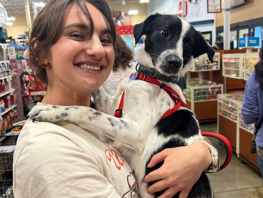Adopt-o-ween for National Adoption Week event at PetSmart!