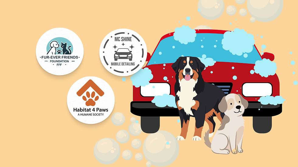 Car Wash Fundraiser and Dog Adoption Event!