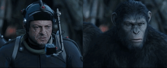 LoathsomeFrigidAcaciarat-small.gif.gif
