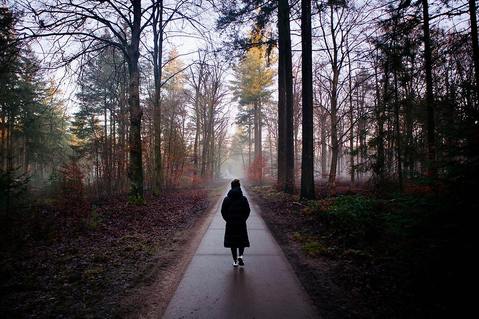 De vele gedaantes van de herfst..