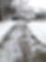 snow.jpg